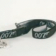 Lanyard